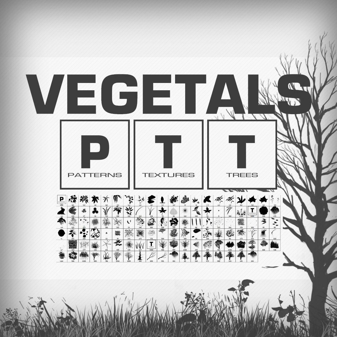 Vegetals Brushes