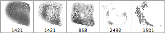 Set of 5 Grunge Brushes - Schematic