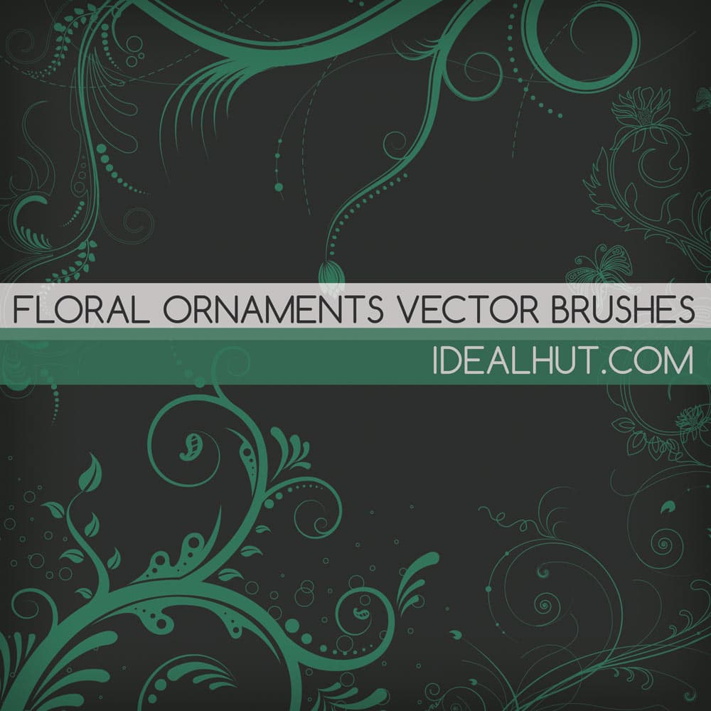5 Floral Ornaments Vector Brushes