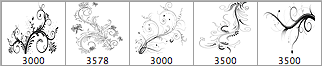 5 Floral Ornaments Vector Brushes - Schematic