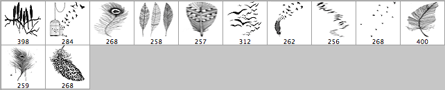 Feathers and Birds Brushes - Schematic