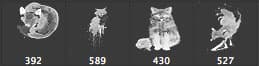 Fox Fine Art Photosop Brushes  - Schematic