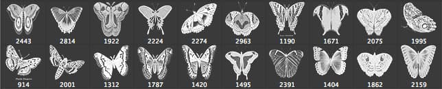 Vintage Butterflies SET 1 Brushes - Schematic