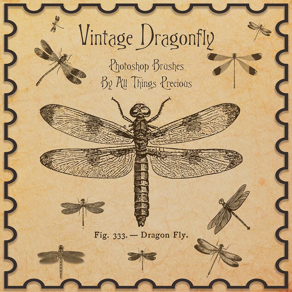 Vintage Dragonfly Brushes