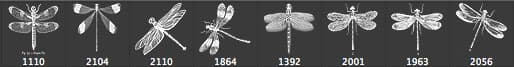 Vintage Dragonfly Brushes - Schematic