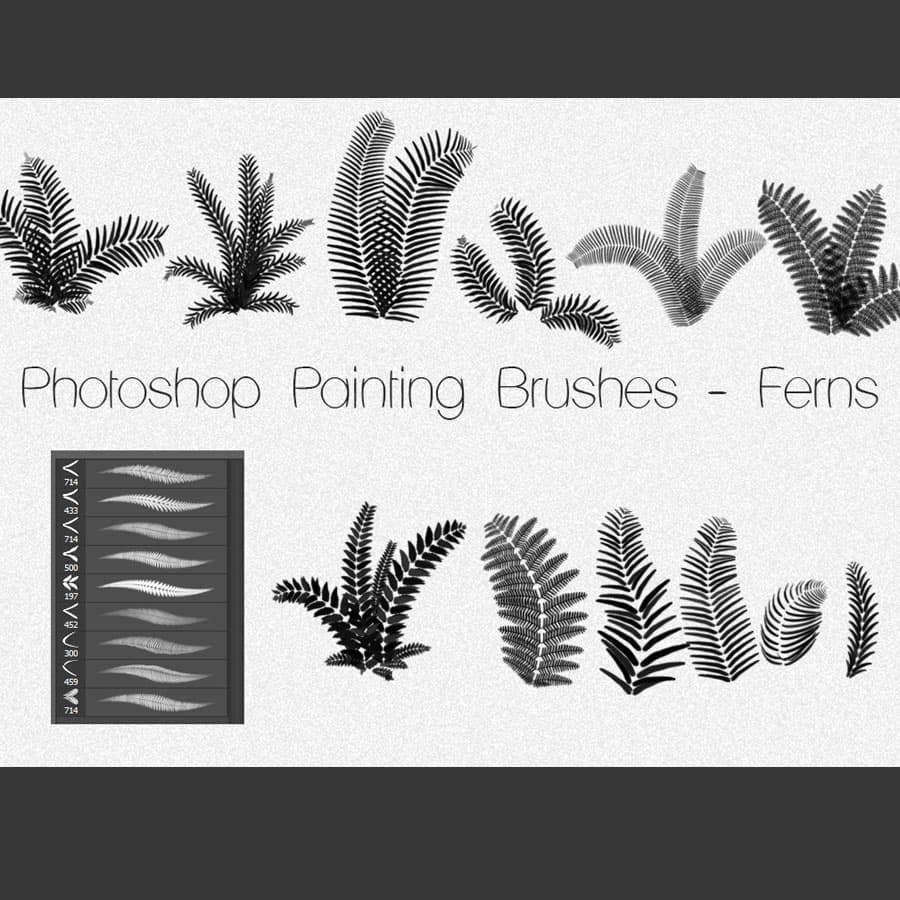 Photoshop Painting Brushes - FERNS