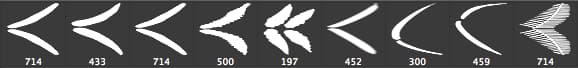 Photoshop Painting Brushes - FERNS - Schematic