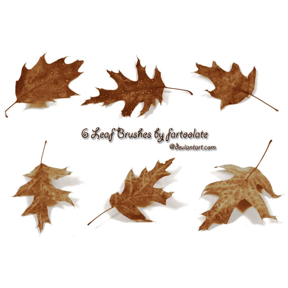 6 Leaf Brushes
