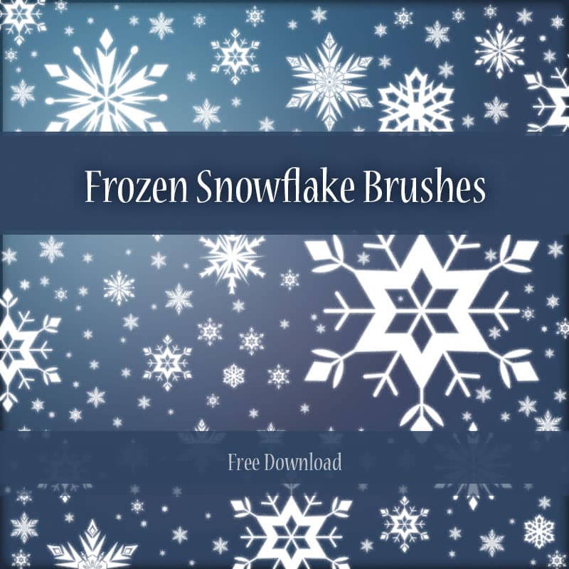 Frozen Snowflakes