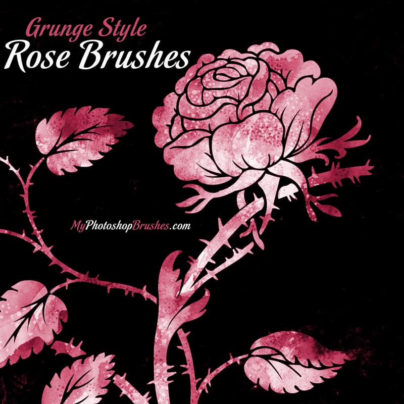 Free Rose PS Brushes - Preview 1