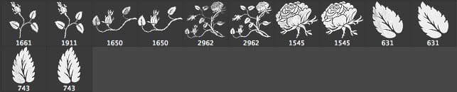 Free Rose PS Brushes - Schematic