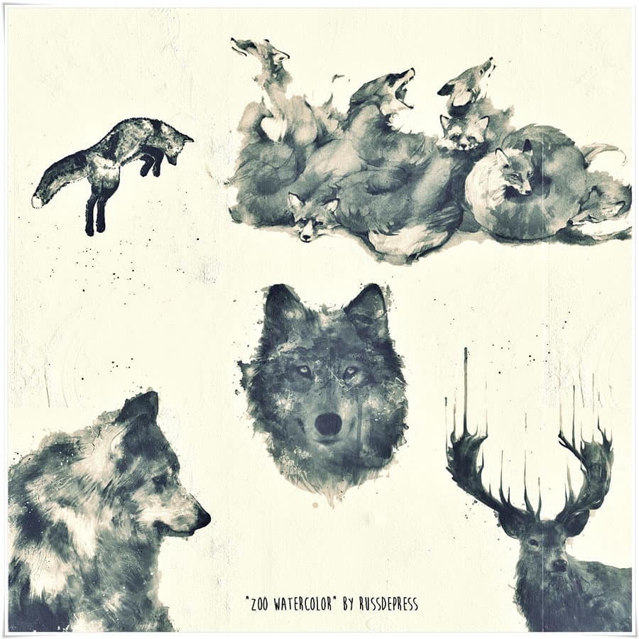 Watercolor Animals PS Brushes - Preview 1