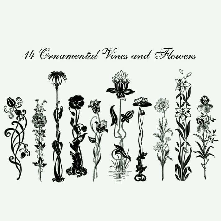 Flowers and Vines Brushes