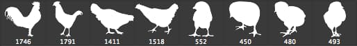 Free Chicken Custom Shapes - Schematic