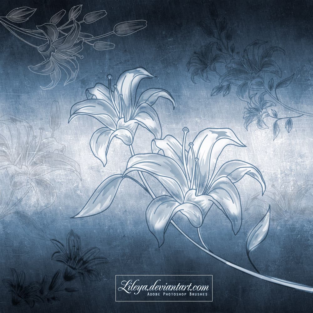 Lilies Flowers Brushes
