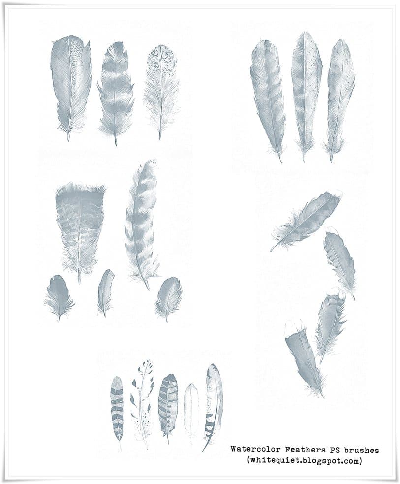 Free Feathers PS Brushes
