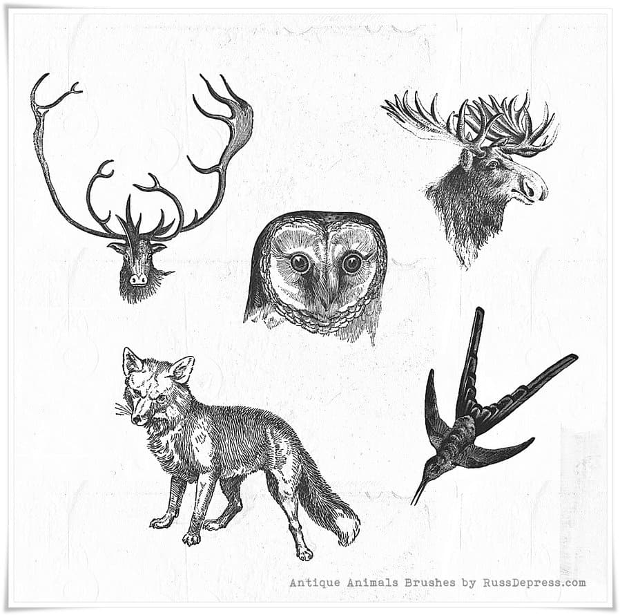 Vintage Animals