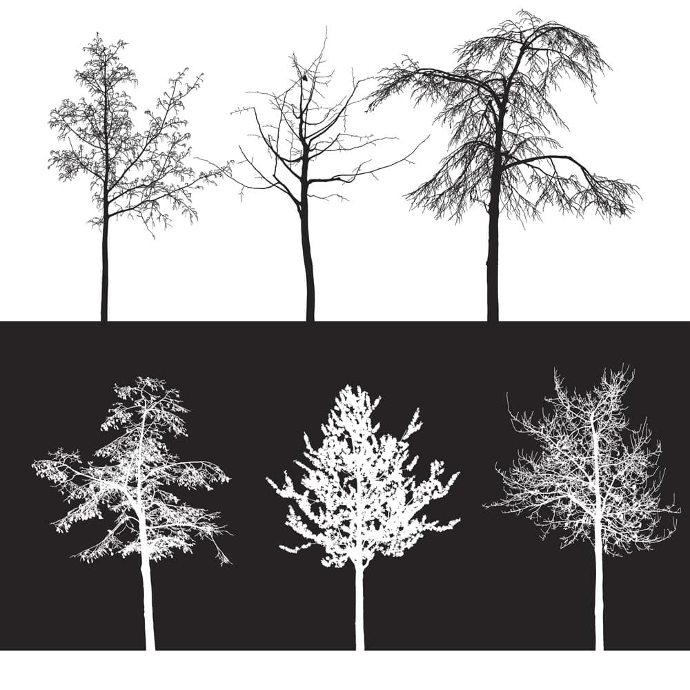 10 Trees Brushes