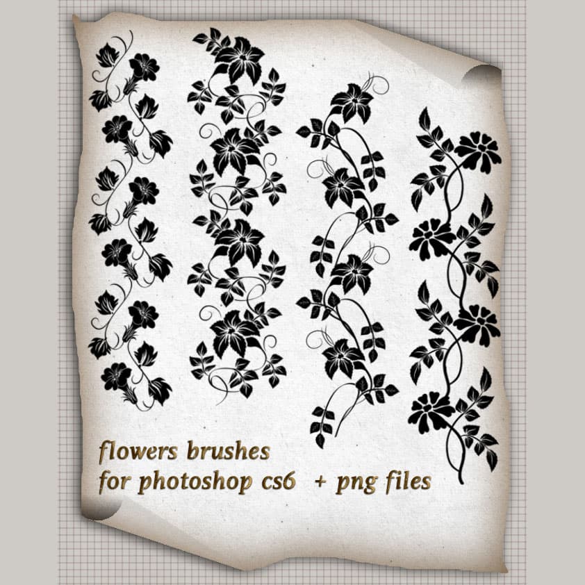 Flowers Borders Brushes