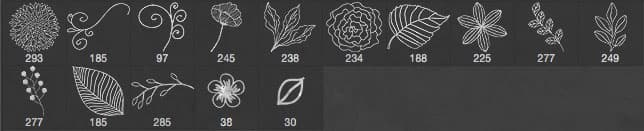 Flowers Brushes - Thumbnail 2