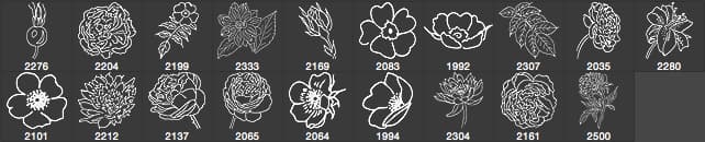 Hand-Drawn Flower Brushes - Schematic