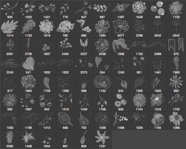 Watercolor Flower Brushes - The Smell of Roses - Schematic
