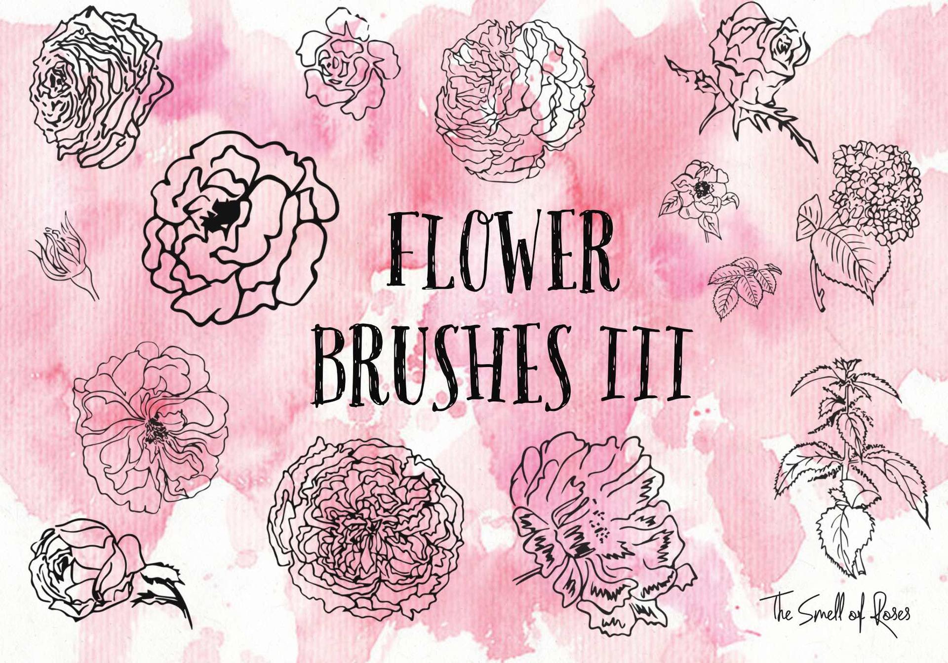 Flower Brushes 3