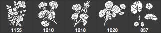 Pelargonium Brushes - Schematic