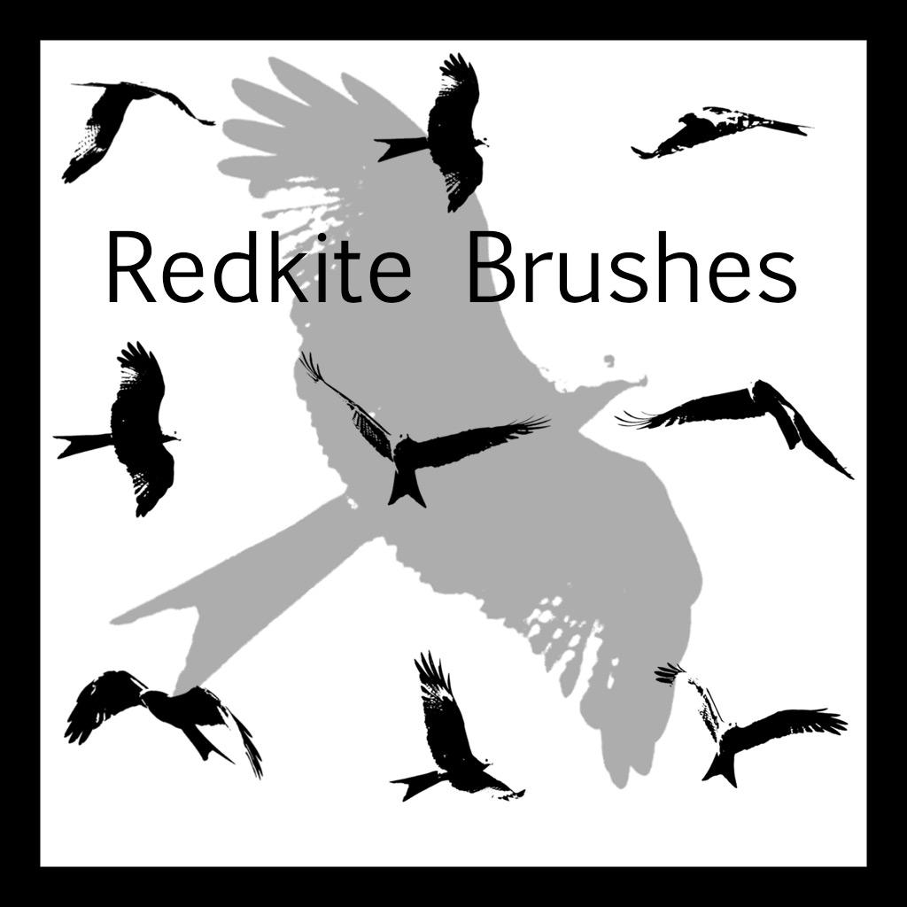Red Kite Brushes