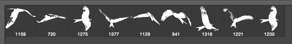 Red Kite Brushes - Schematic