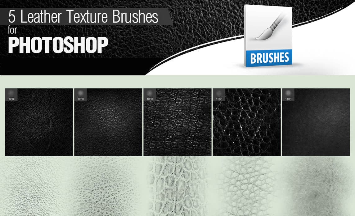 5 Leather Brushes