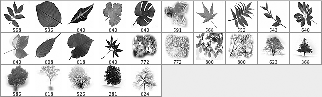 Leaves and trees - Schematic