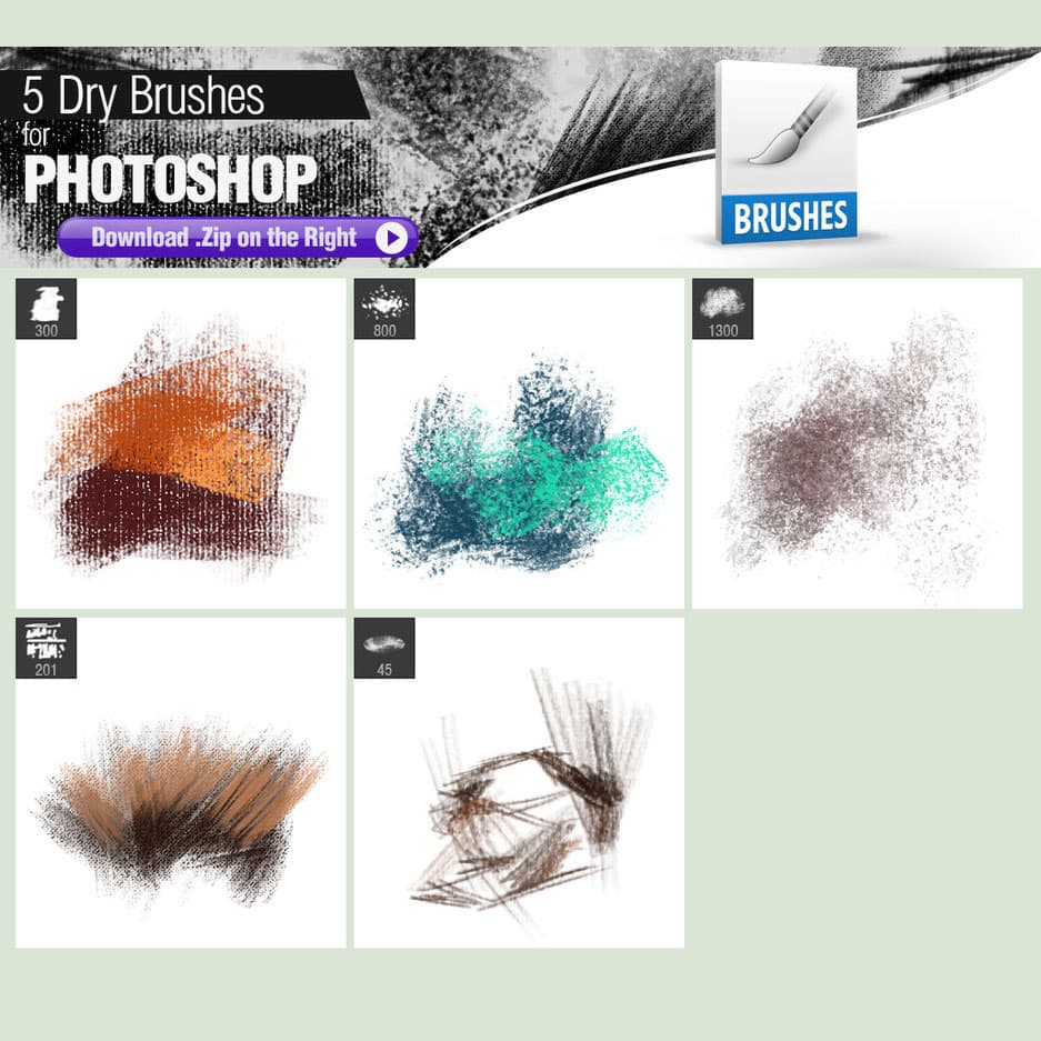 5 Dry Brushes