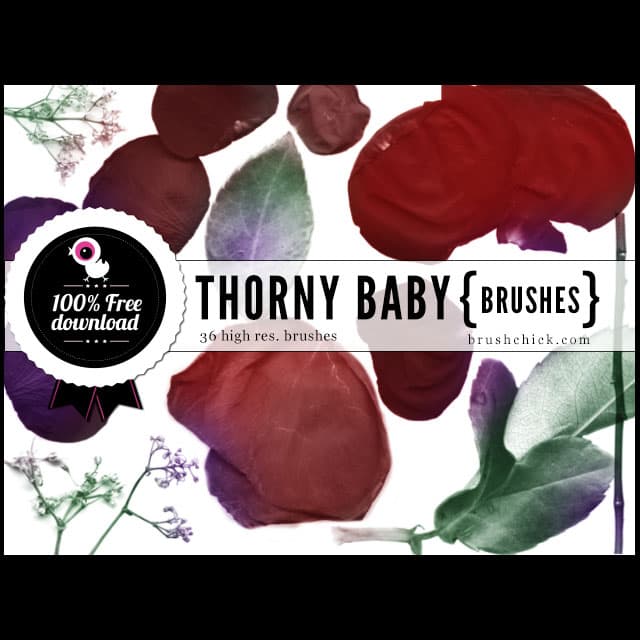 Rose Petals Brushes