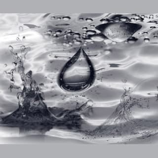 Water Brushes
