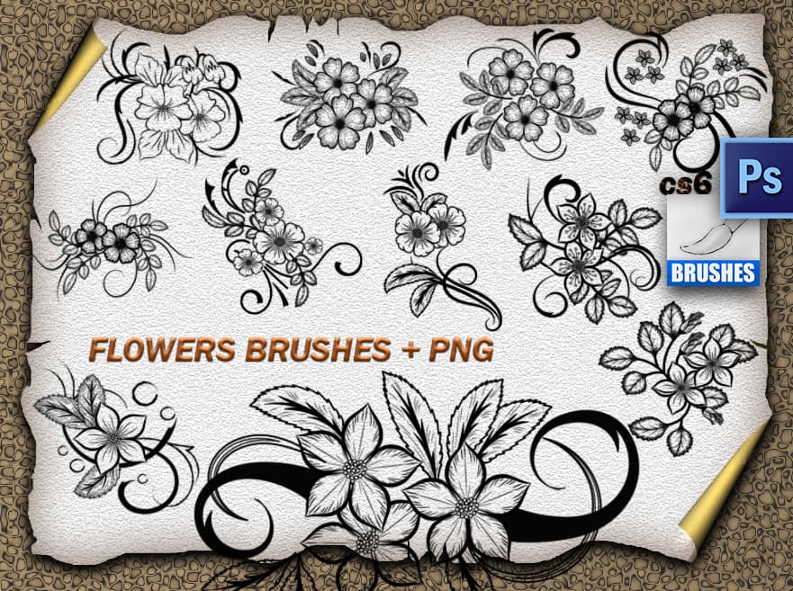 11 Flower Ornaments Brushes