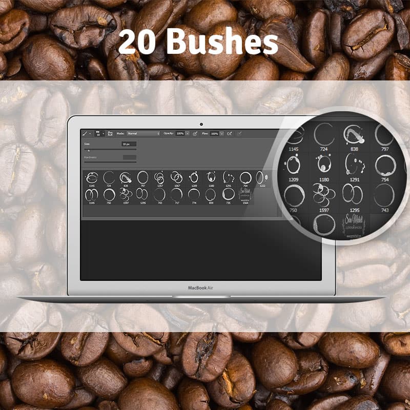 20 Coffee Stain Free Brushes