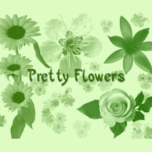 Pretty Flowers