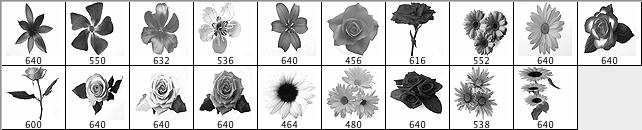 Pretty Flowers - Schematic