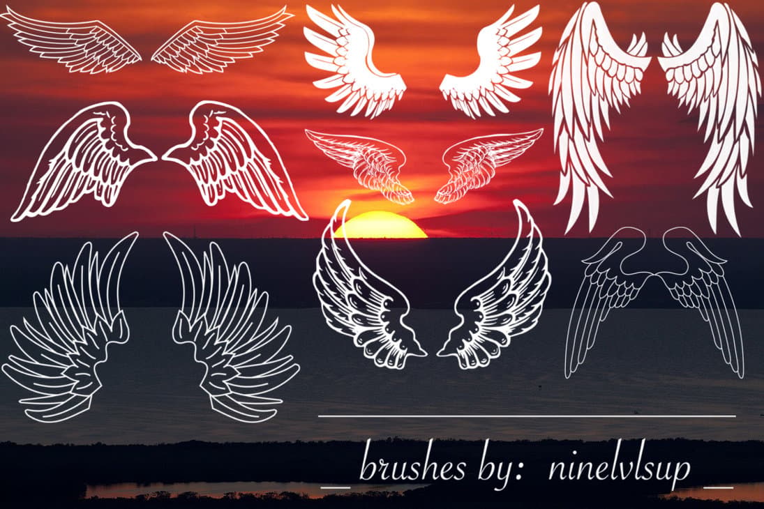 Eight Wings Brushes