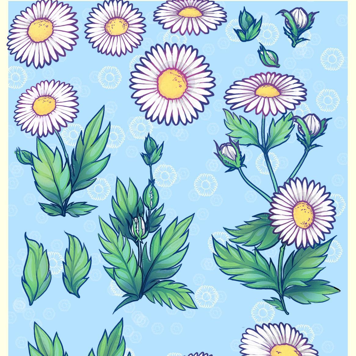 17 Daisy Photoshop Brushes