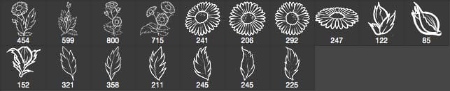 17 Daisy Photoshop Brushes - Schematic