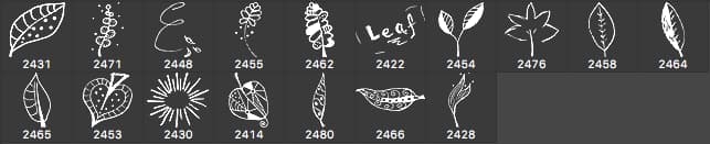 Botanical Doodle Photoshop Brushes - Schematic
