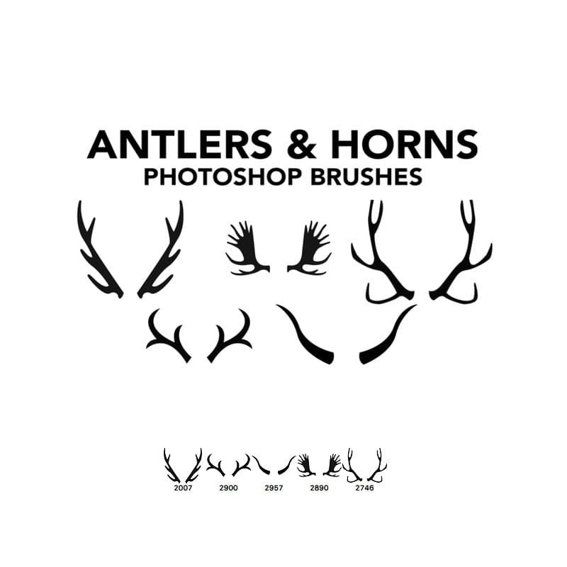 Antlers and Horns 5 Photoshop Brushes
