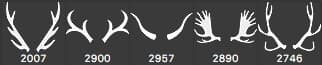 Antlers and Horns 5 Photoshop Brushes - Schematic