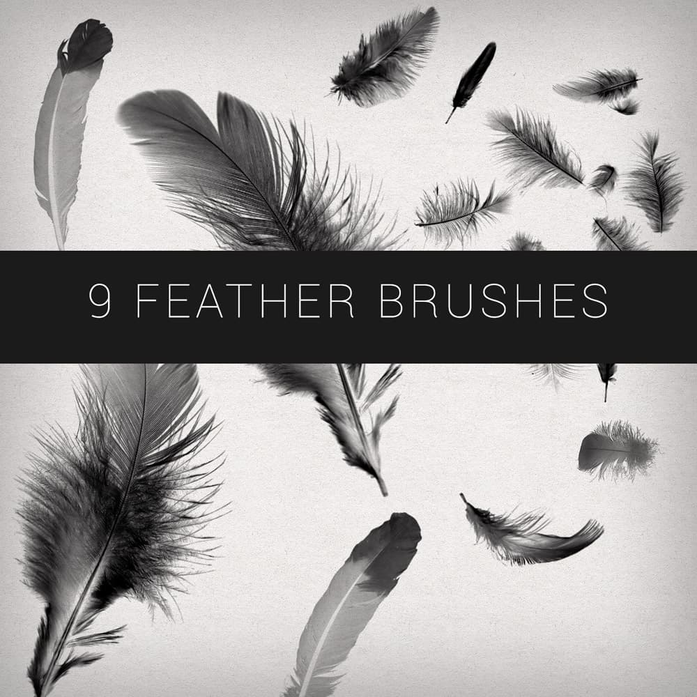 9 Feathers Brushes