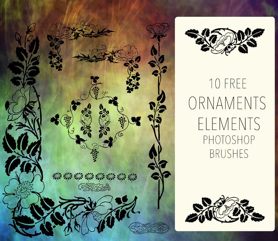 Ornament Floral Elements