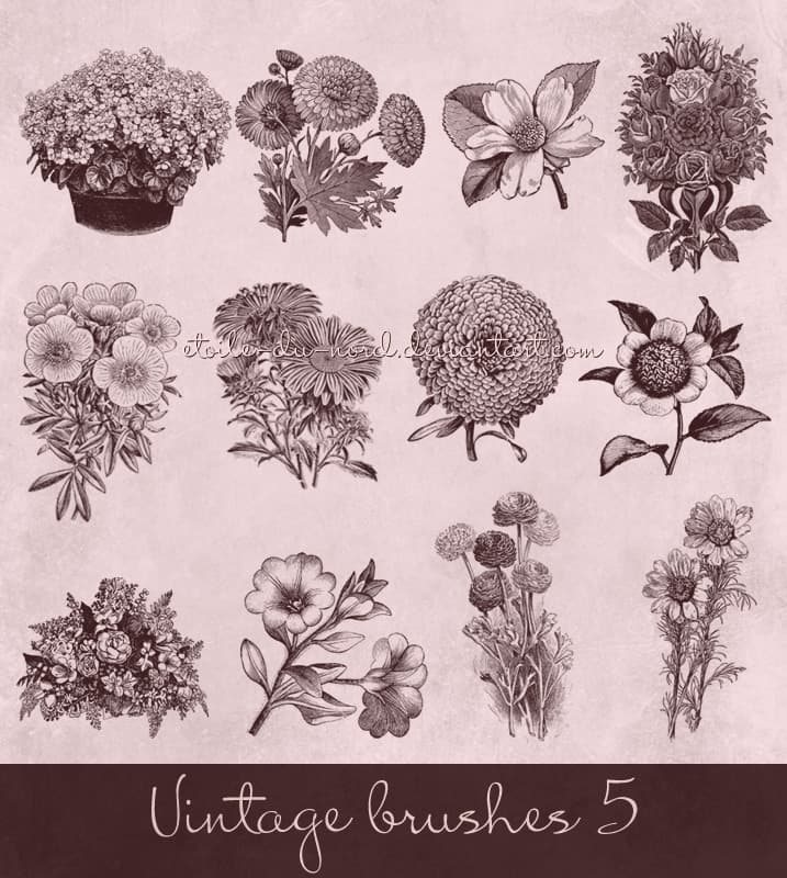 Vintage Flowers Brushes