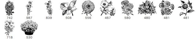 Vintage Flowers Brushes - Schematic