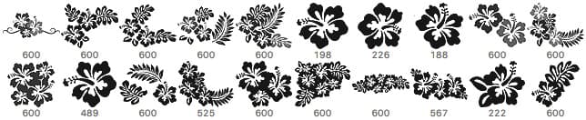 20 Hibiscus Flowers PS Brushes - Schematic